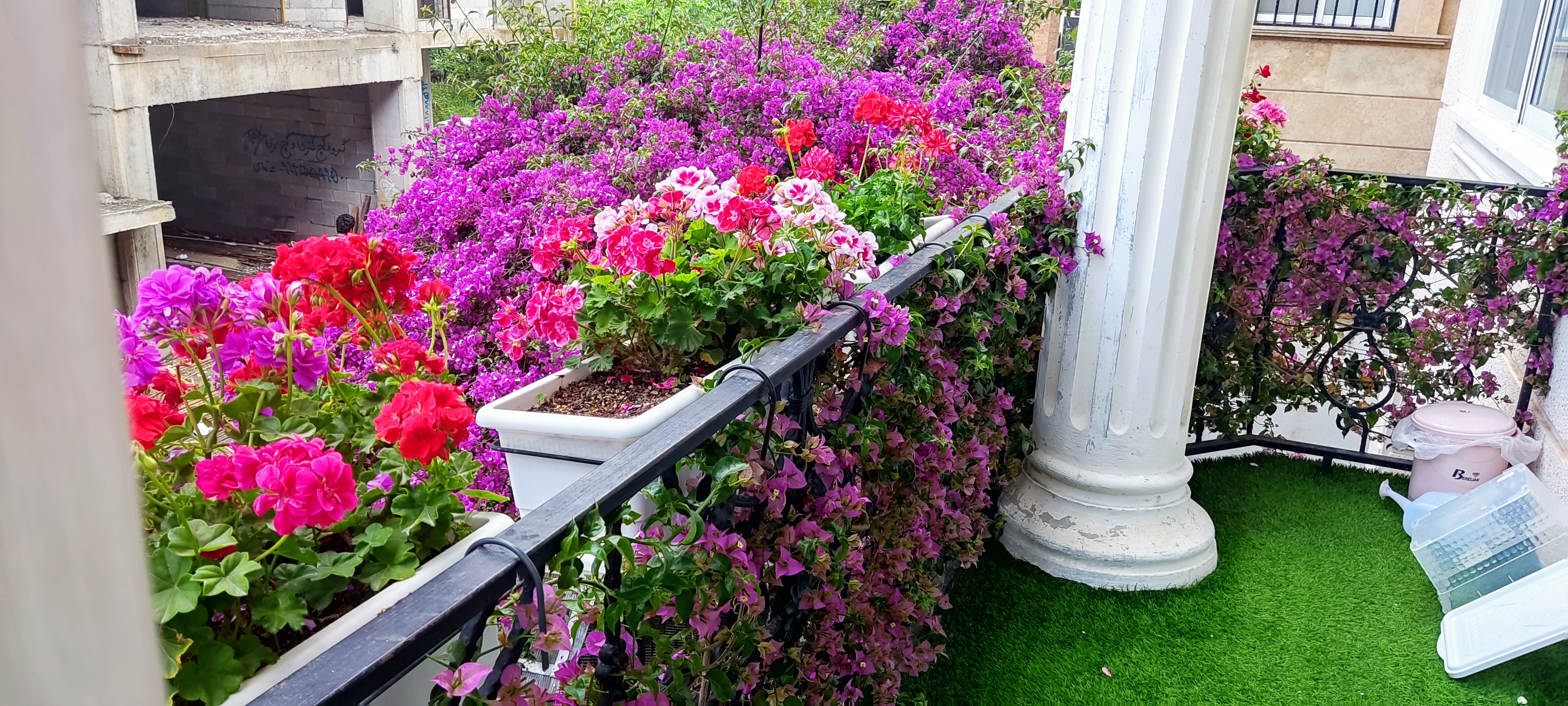 اجاره آپارتمان یک خوابه  شهری رامسر - تصویر 1