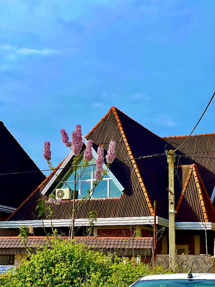 اجاره ویلا سه خوابه استخردار ساحلی ساری - تصویر 3