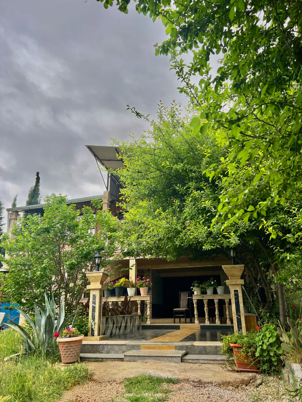 اجاره ویلا یک خوابه  جنگلی ساری - تصویر 1