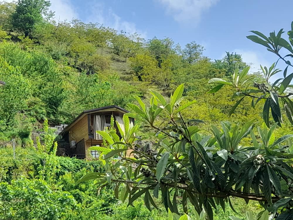 اجاره کلبه یک خوابه  جنگلی سواد کوه - تصویر 6