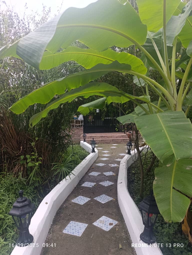 اجاره ویلا دو خوابه  جنگلی بابل - تصویر 8