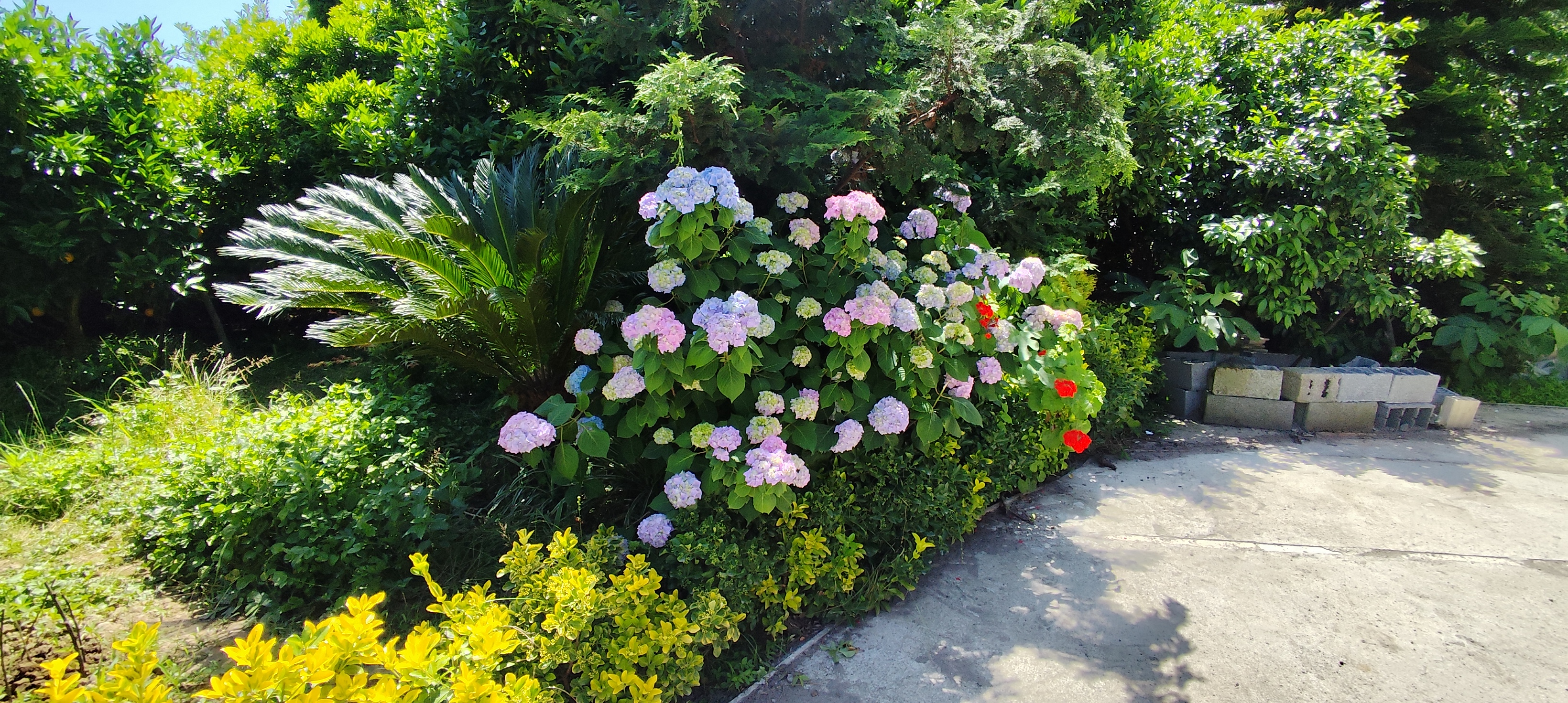 اجاره آپارتمان دو خوابه  روستایی تنکابن - آپارتمان روستایی در تنکابن