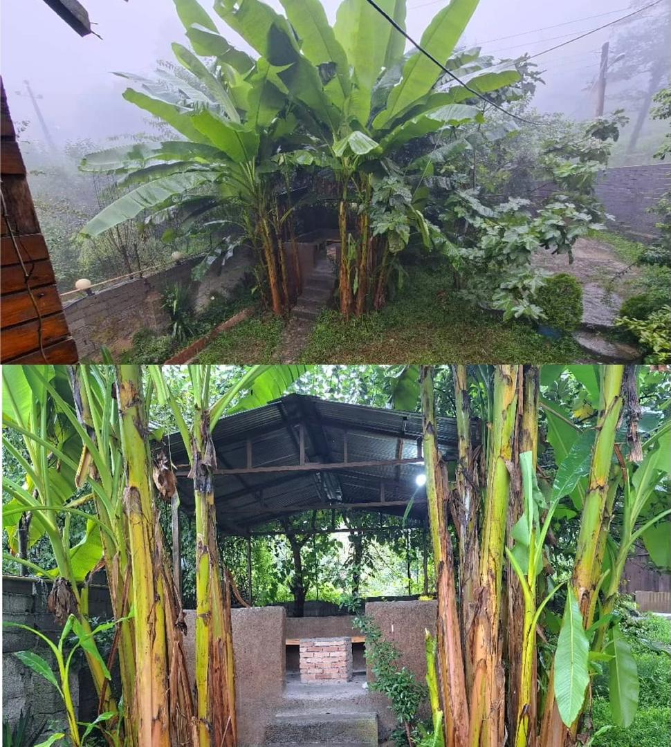 اجاره کلبه دو خوابه  جنگلی بابل - تصویر 5