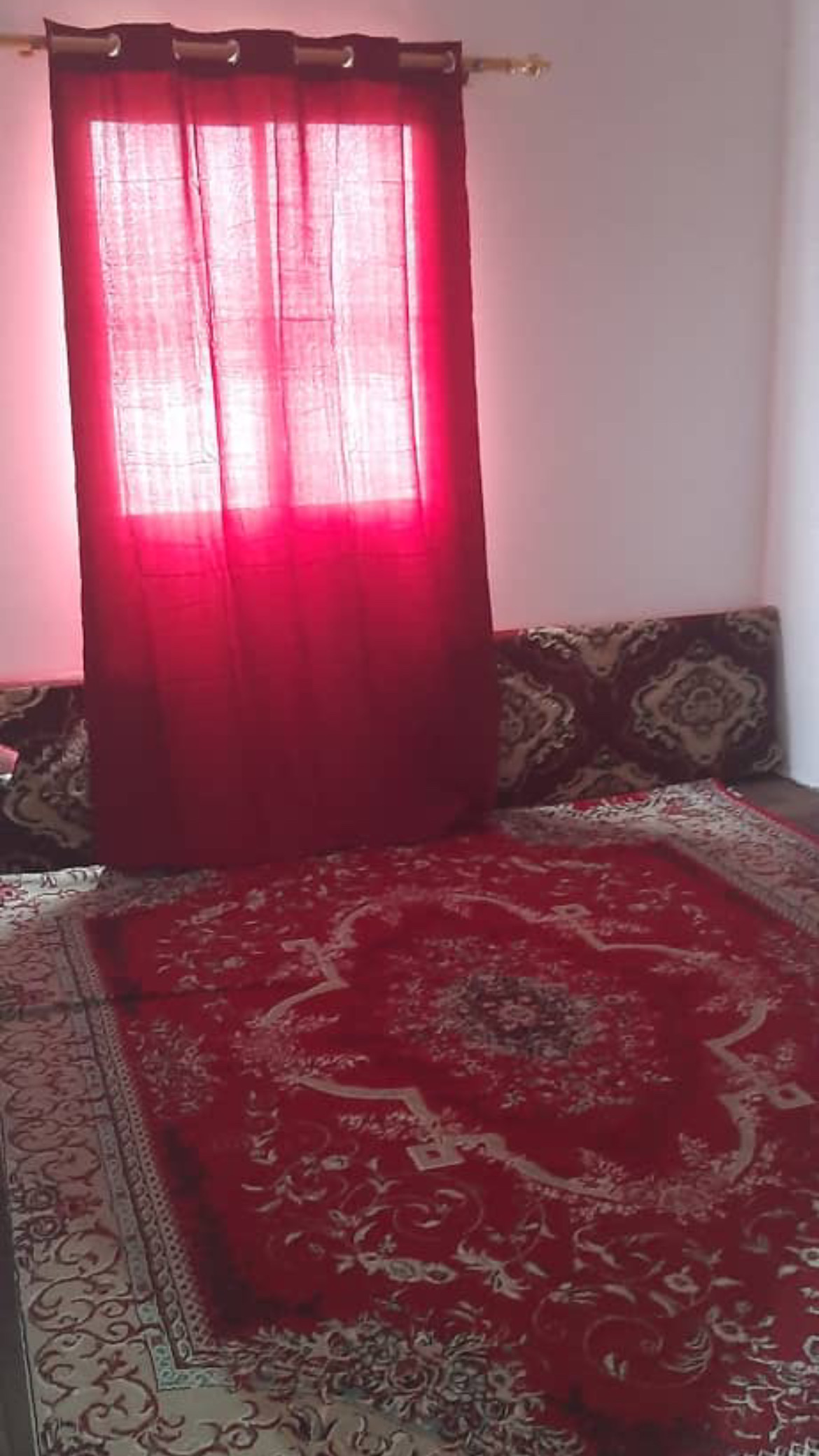 اجاره ویلا یک خوابه  جنگلی بابل - تصویر 8