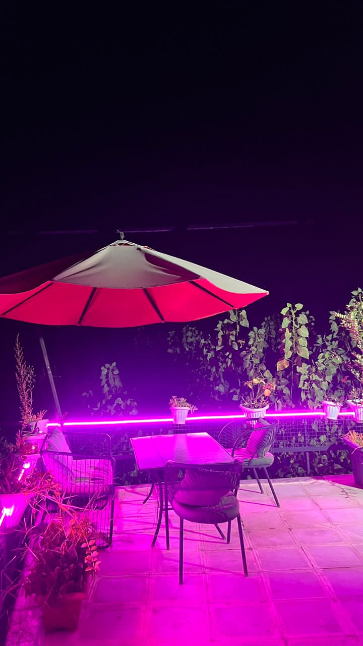 اجاره کلبه دو خوابه  جنگلی متل قو - تصویر 1