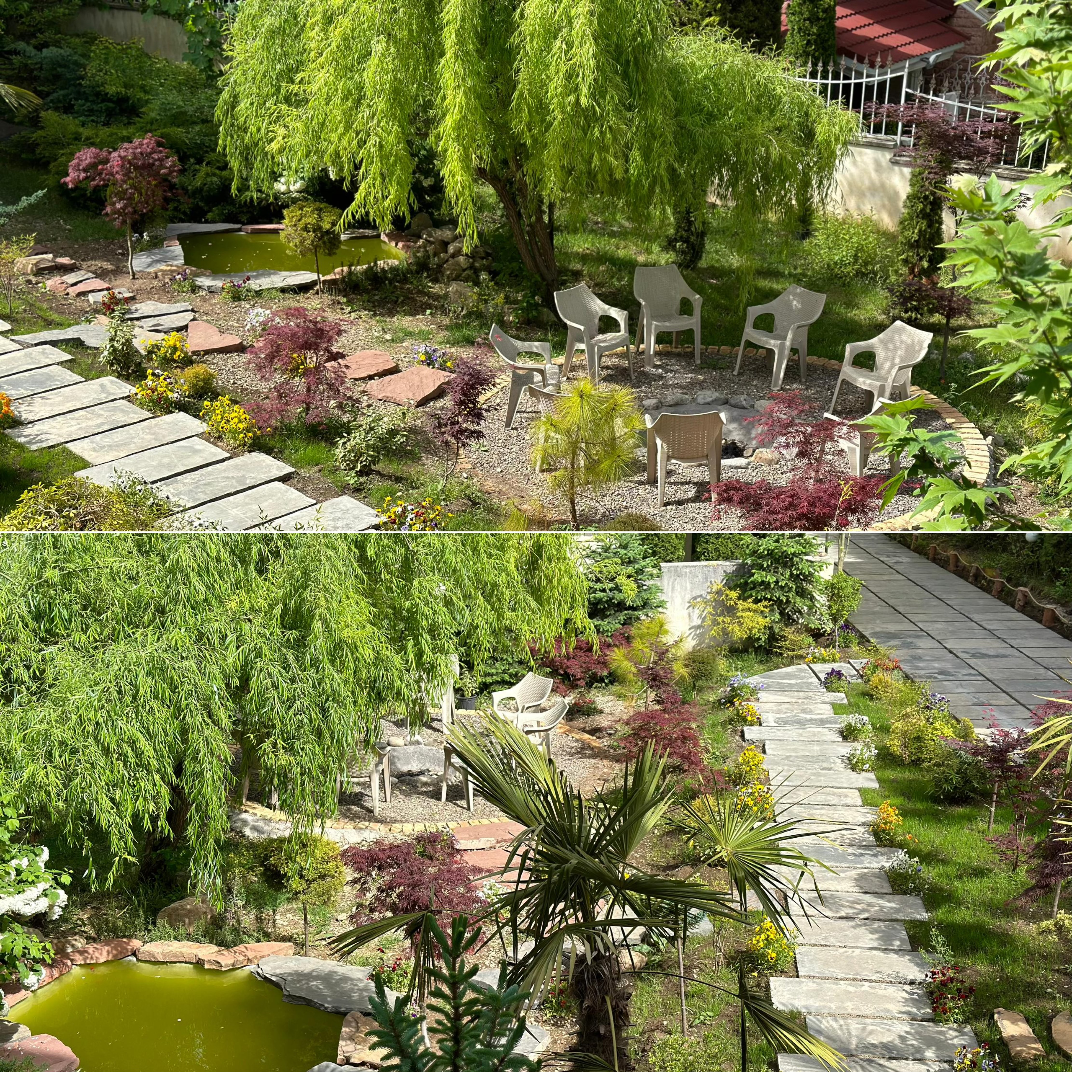 اجاره ویلا دو خوابه  جنگلی کلاردشت - تصویر 6