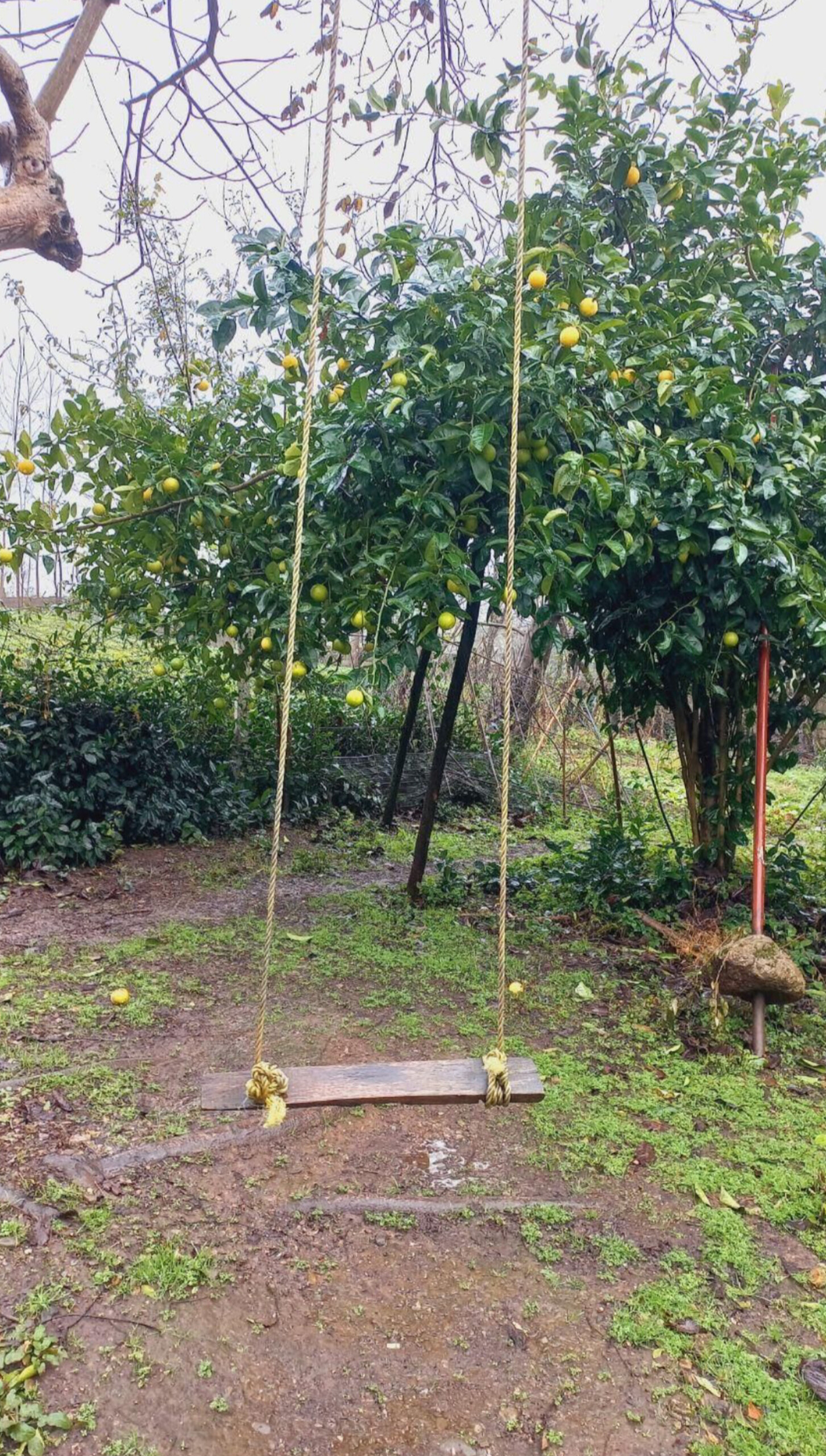 اجاره ویلا دو خوابه  روستایی فومن - تصویر 5