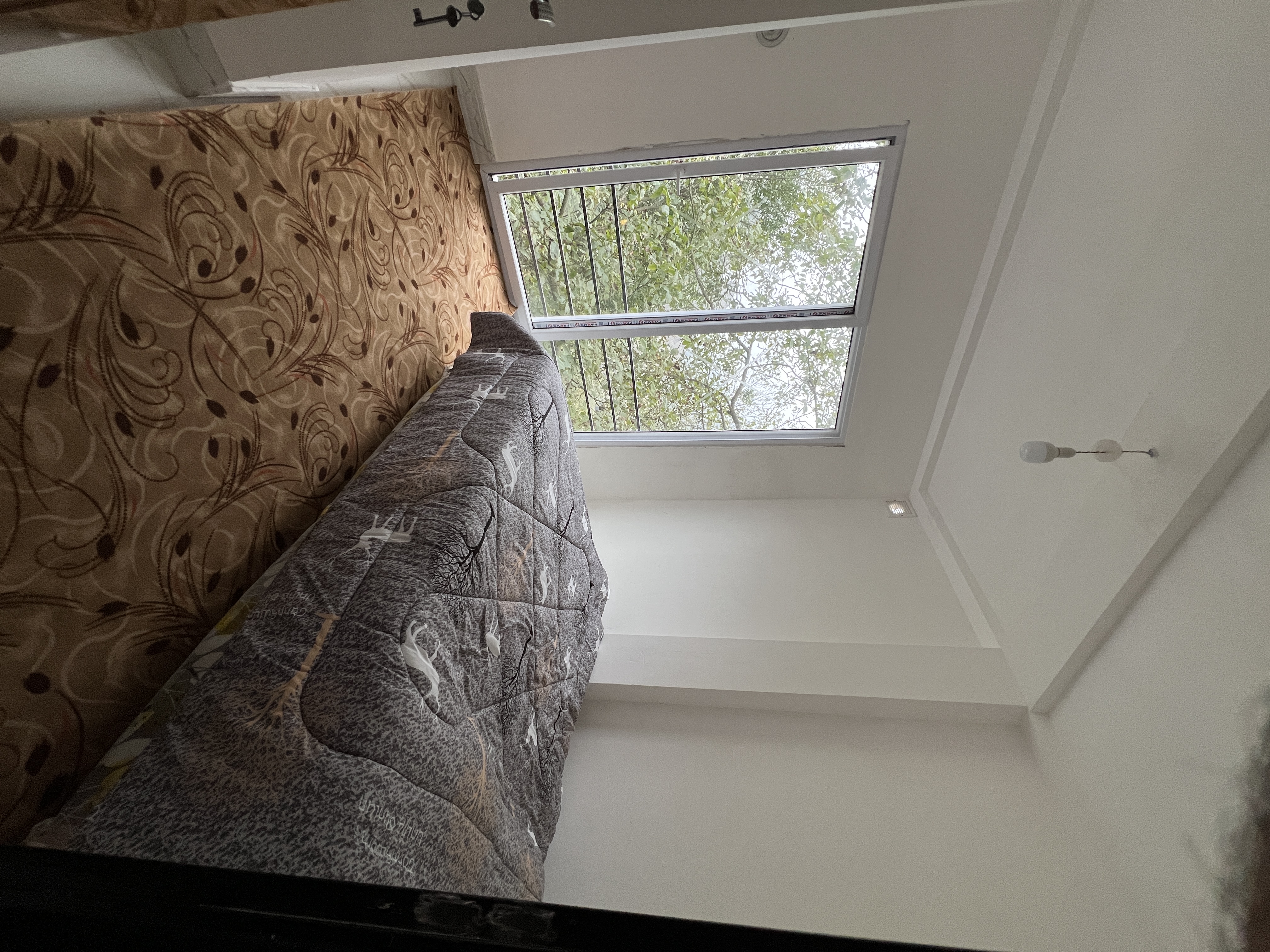 اجاره ویلا دو خوابه  جنگلی تالش - تصویر 3