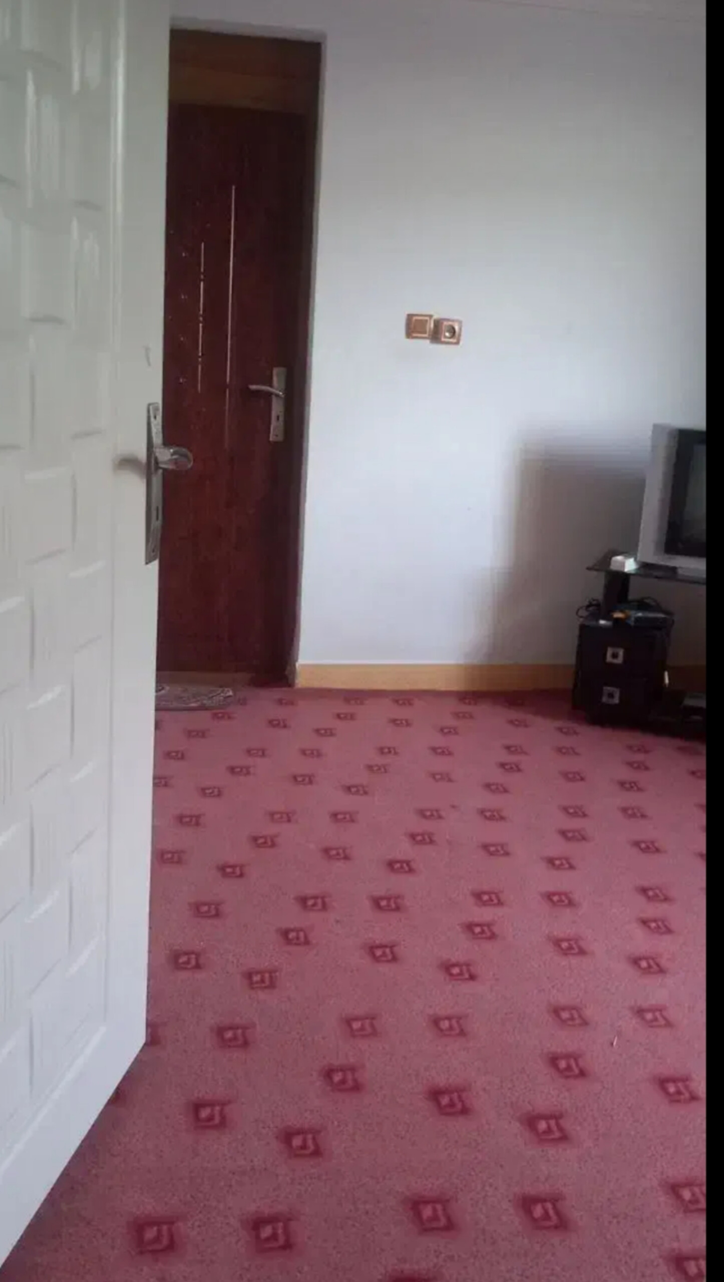 اجاره ویلا یک خوابه  جنگلی تالش - تصویر 5