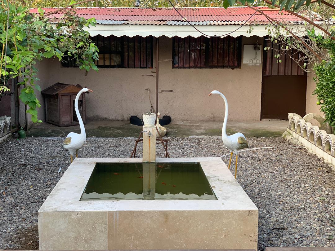 اجاره سوئیت  خوابه  روستایی بندرانزلی - سوئیت روستایی در بندرانزلی