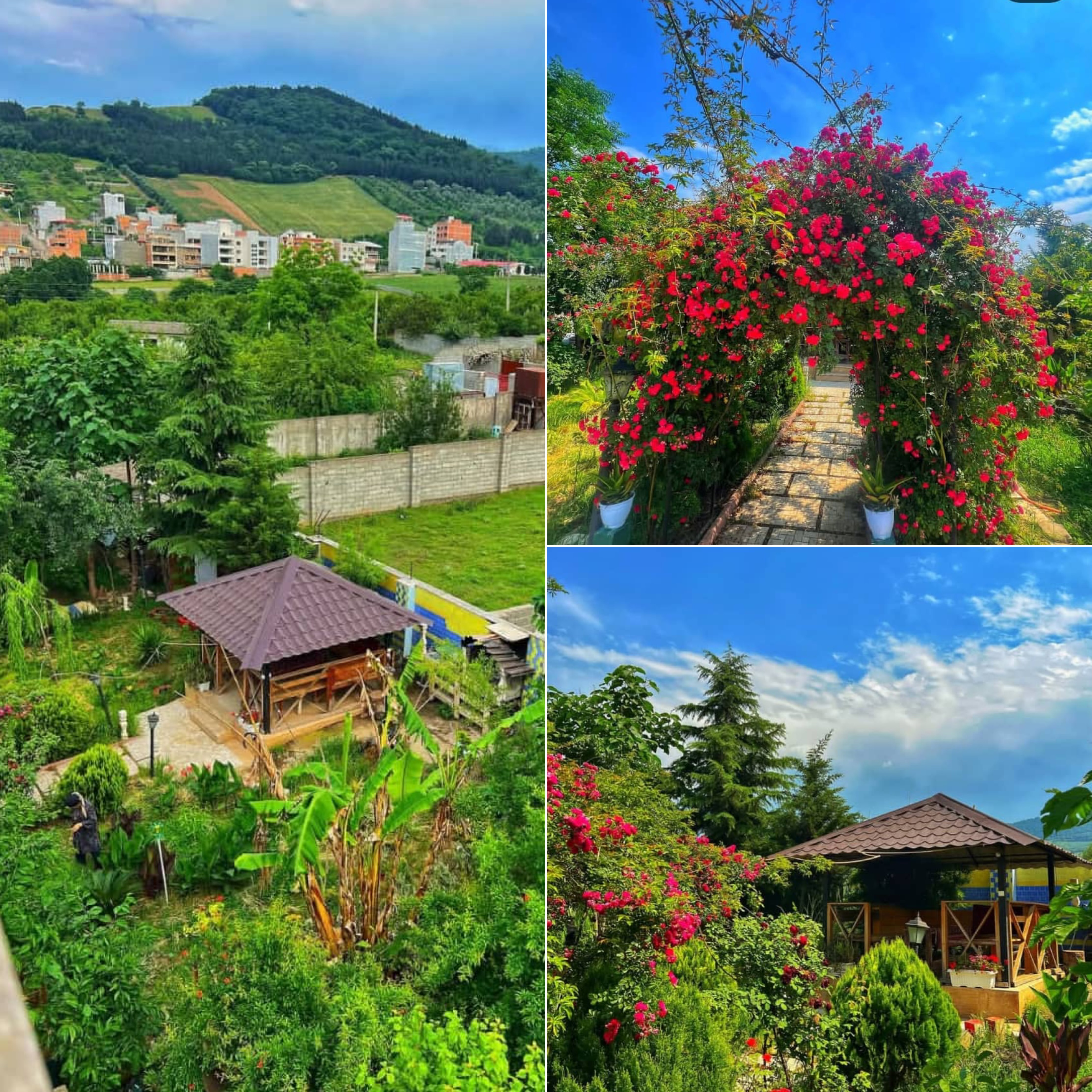 اجاره ویلا پنج خوابه استخردار جنگلی گرگان - تصویر 3