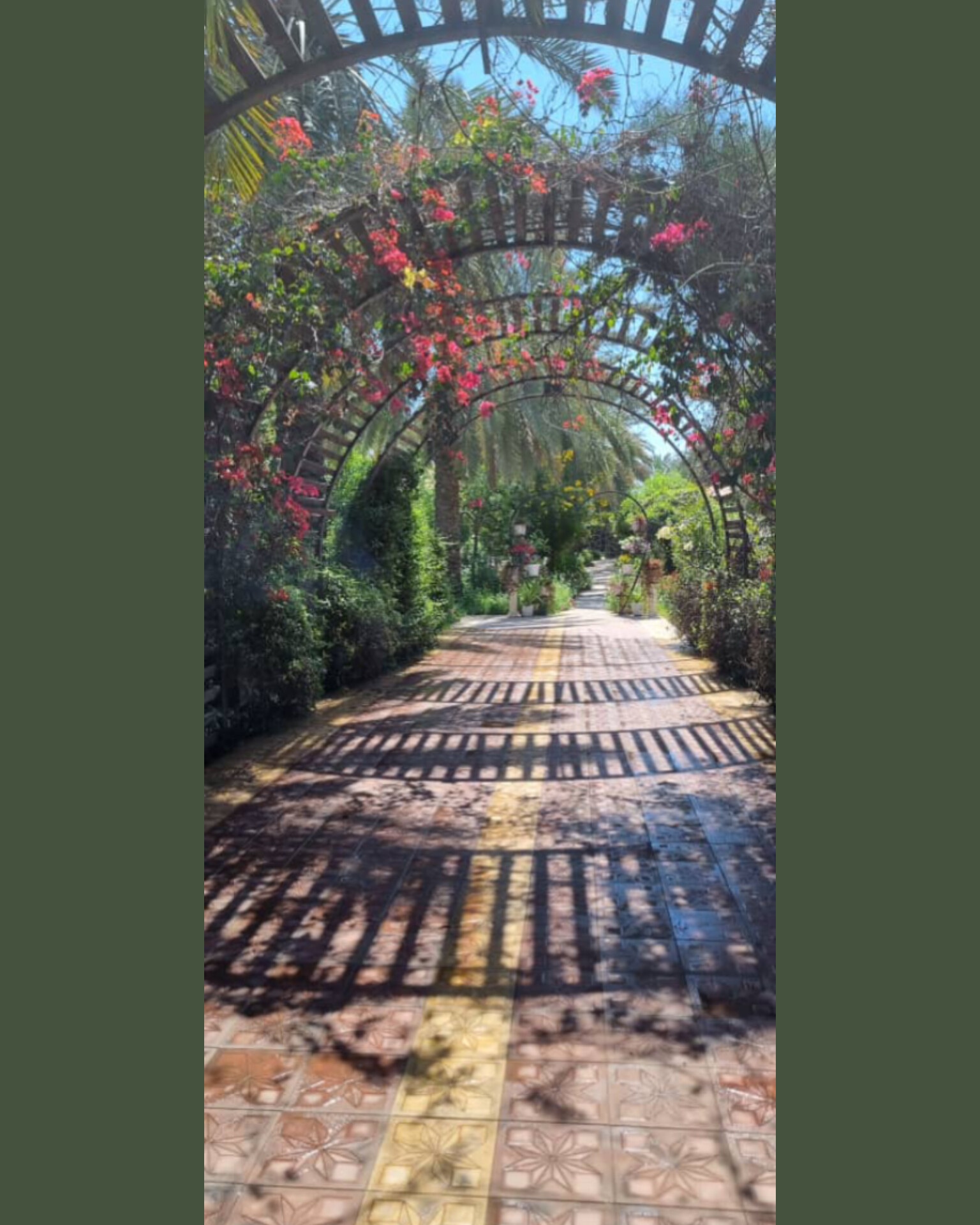 اجاره ویلا یک خوابه  جنگلی عسلویه - ویلا جنگلی در عسلویه