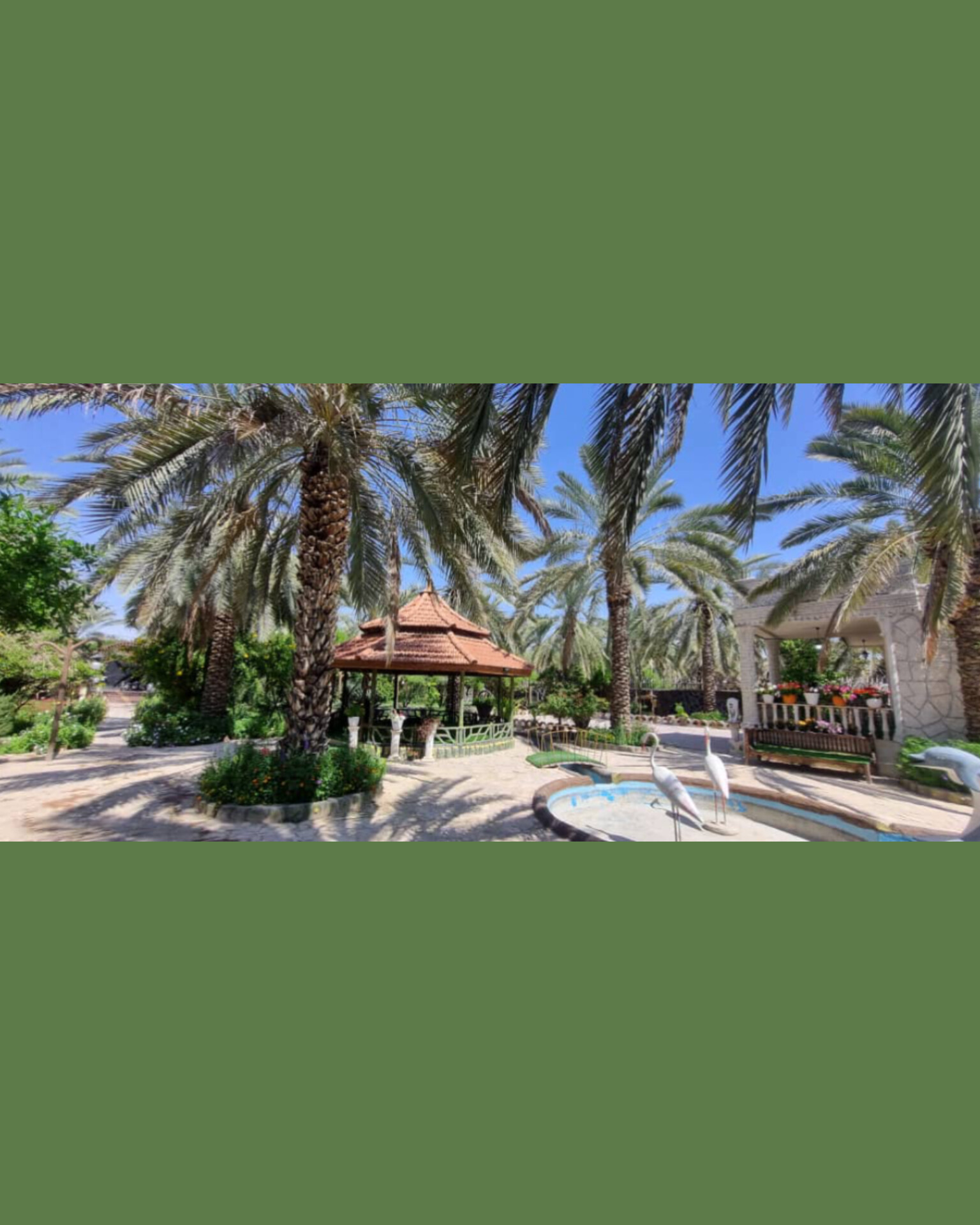 اجاره ویلا یک خوابه  جنگلی عسلویه - تصویر 3