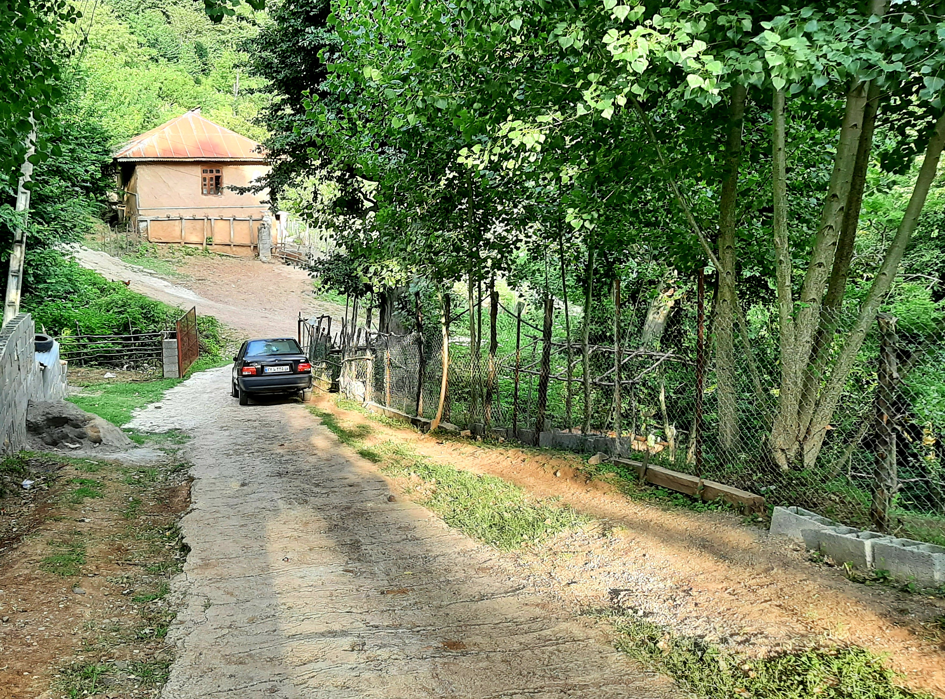 اجاره سوئیت یک خوابه  جنگلی رودبار - تصویر 3