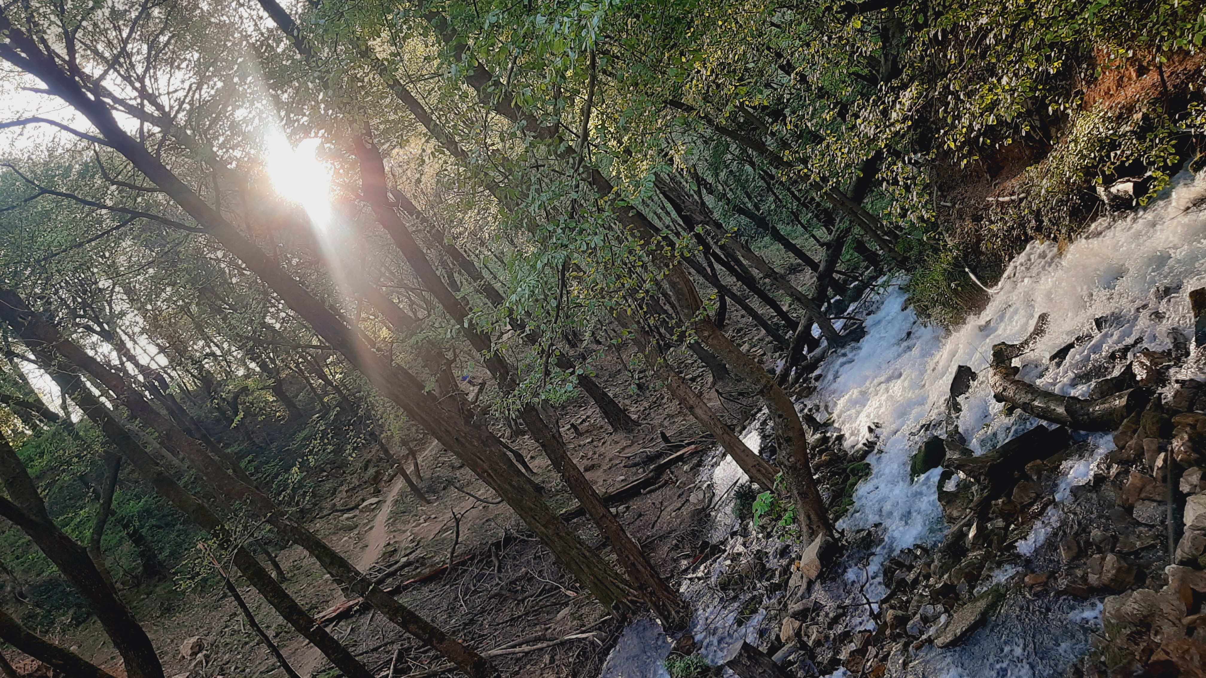 اجاره سوئیت یک خوابه  جنگلی رودبار - تصویر 8