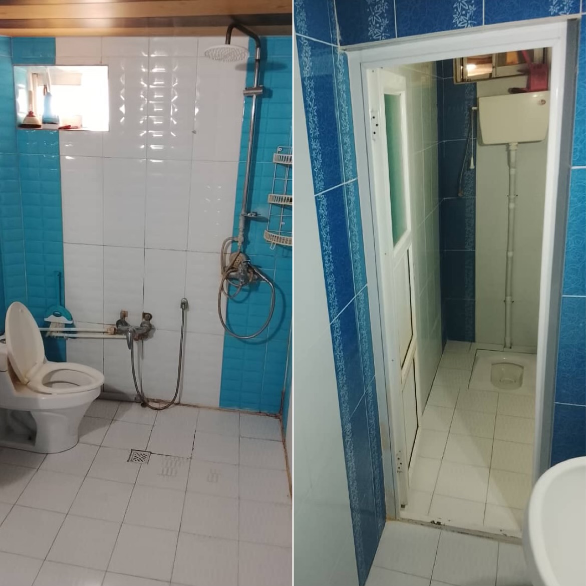 اجاره ویلا دو خوابه استخردار جنگلی نور - تصویر 2