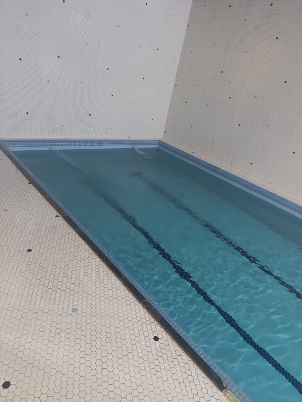 اجاره ویلا دو خوابه استخردار جنگلی نوشهر - تصویر 7