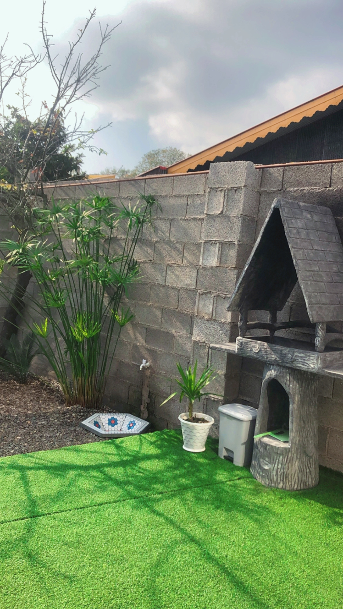 اجاره کلبه یک خوابه  روستایی بندرانزلی - تصویر 2