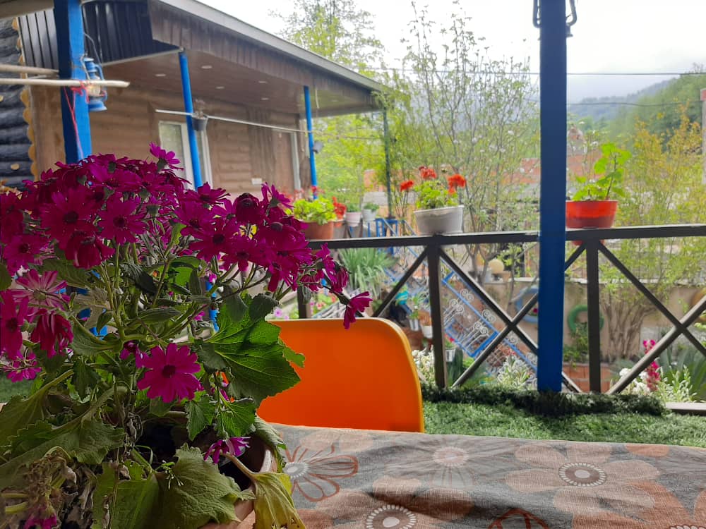 اجاره کلبه یک خوابه  جنگلی گرگان - تصویر 4