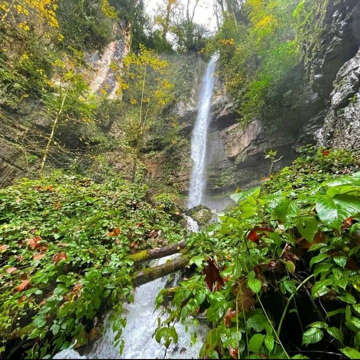 اجاره کلبه یک خوابه  روستایی گرگان - تصویر 5