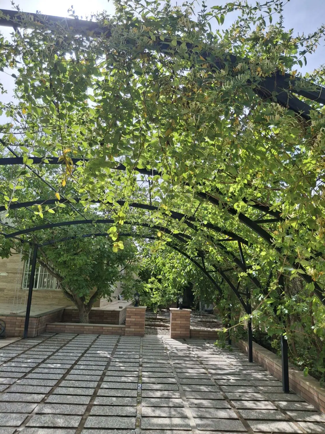 تصویر 4