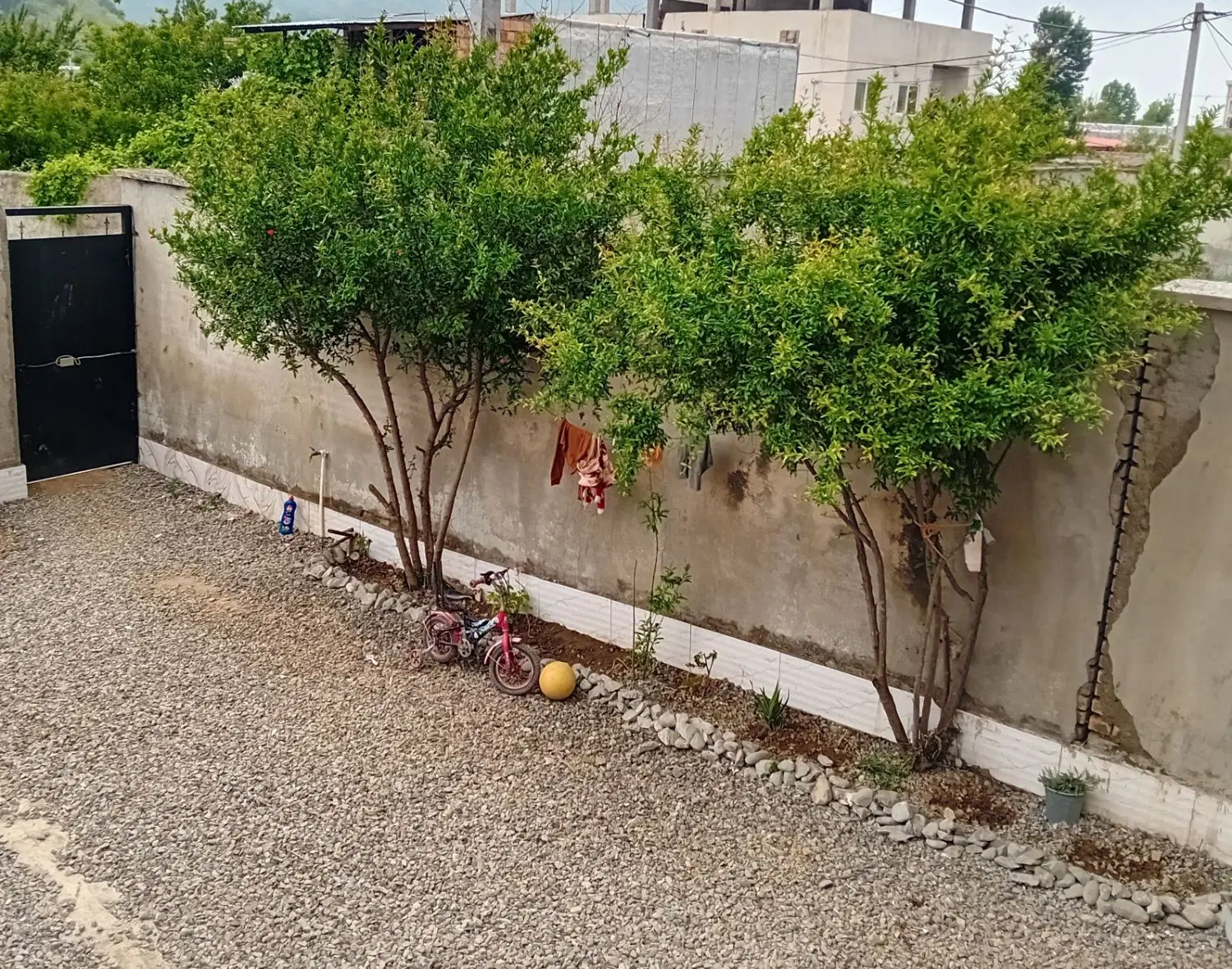 تصویر 3