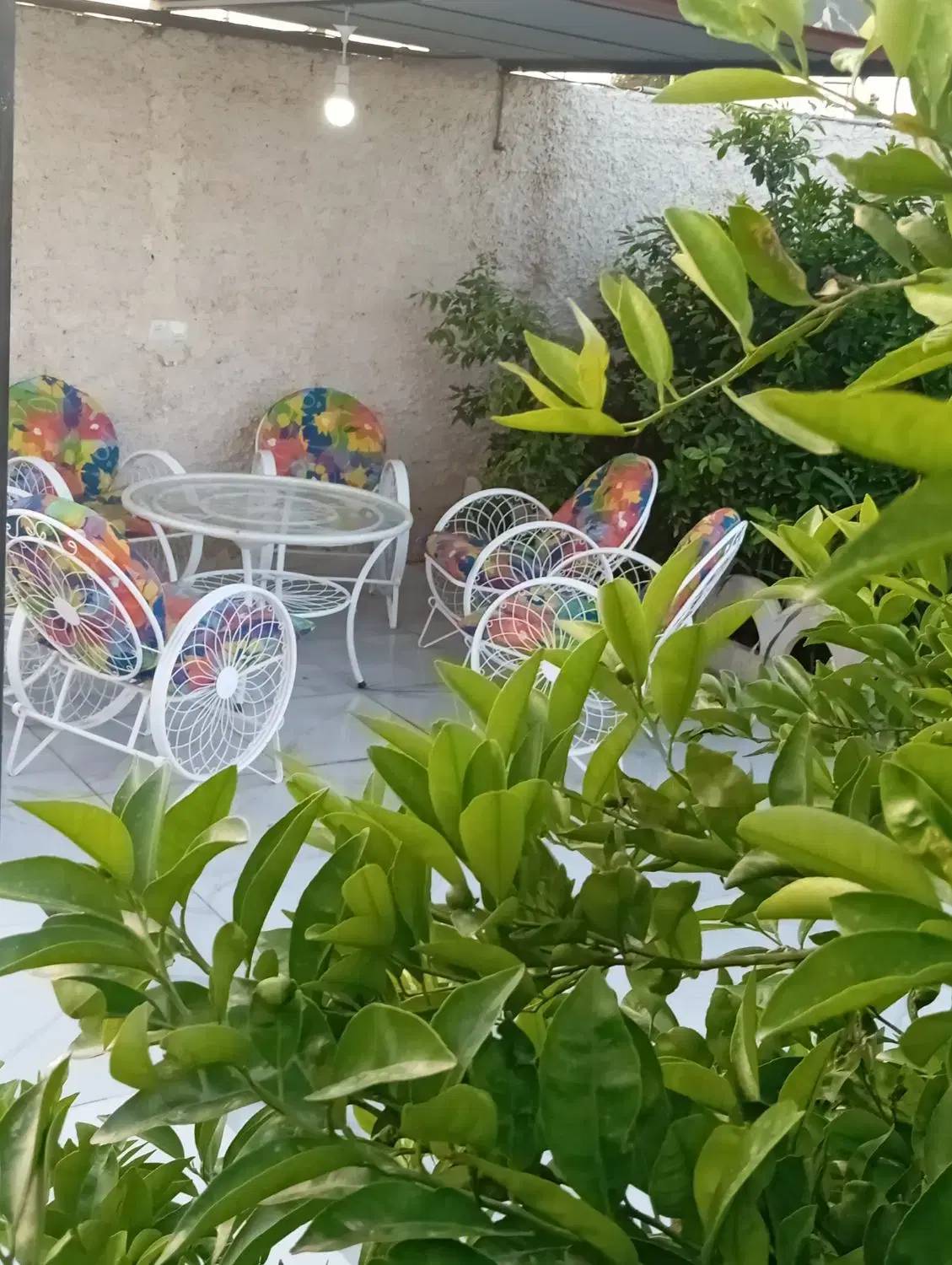 تصویر 6