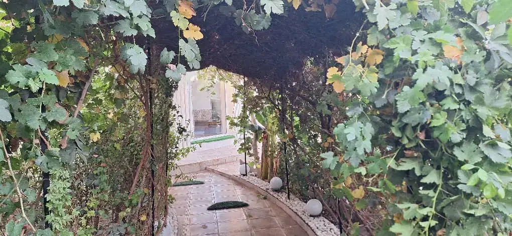تصویر 6