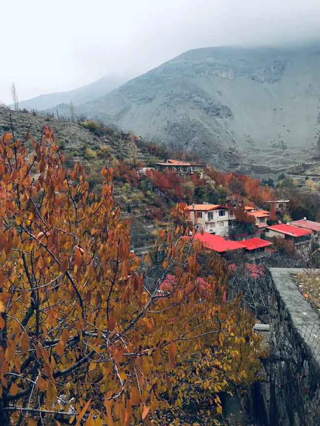 تصویر 8