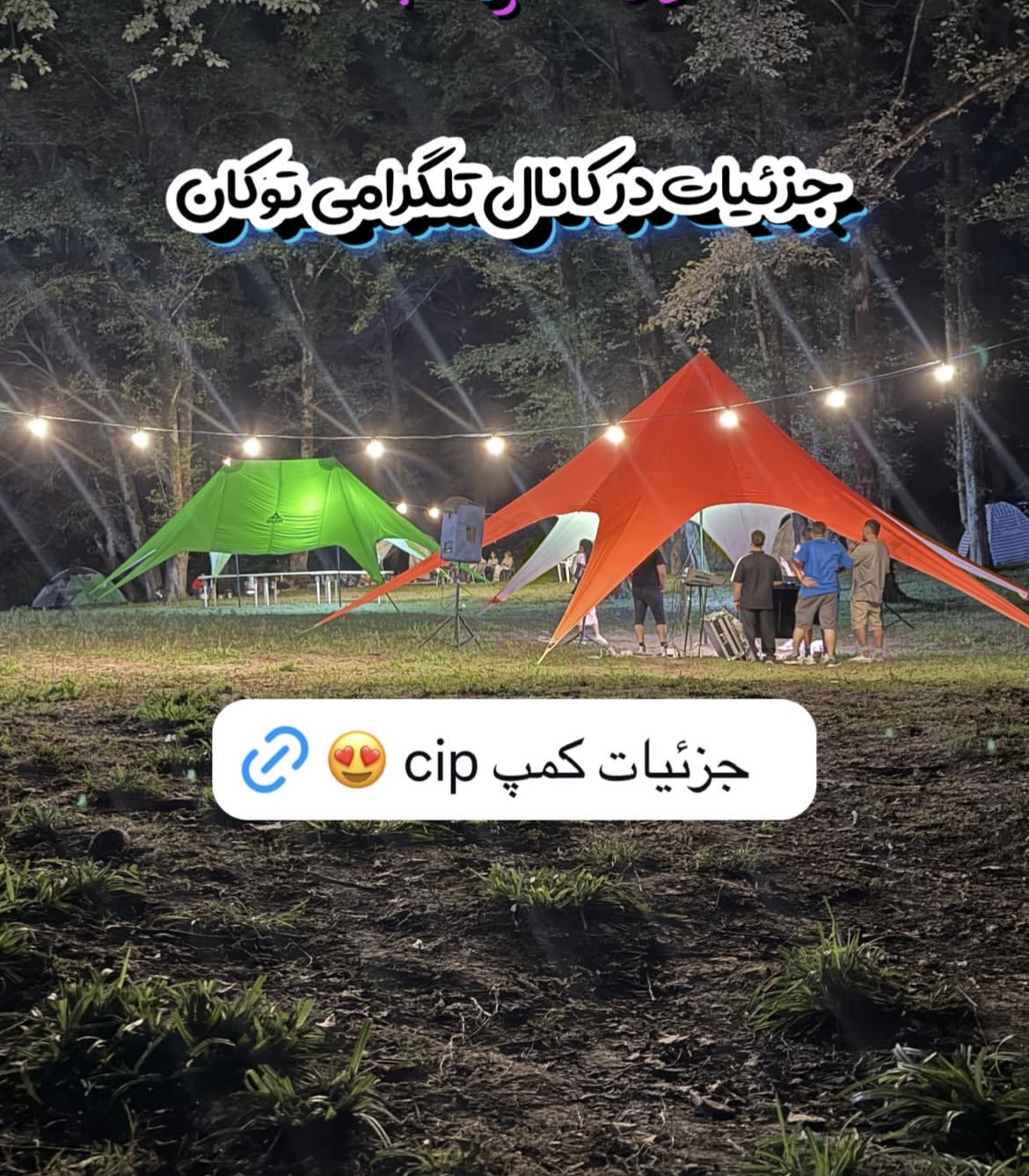 تور مزه گردی 1 روزه  ساری - تور ساری